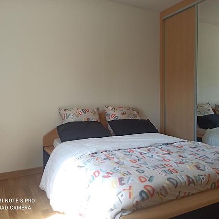Super Appartement Avec Terasse Bischheim Exterior foto