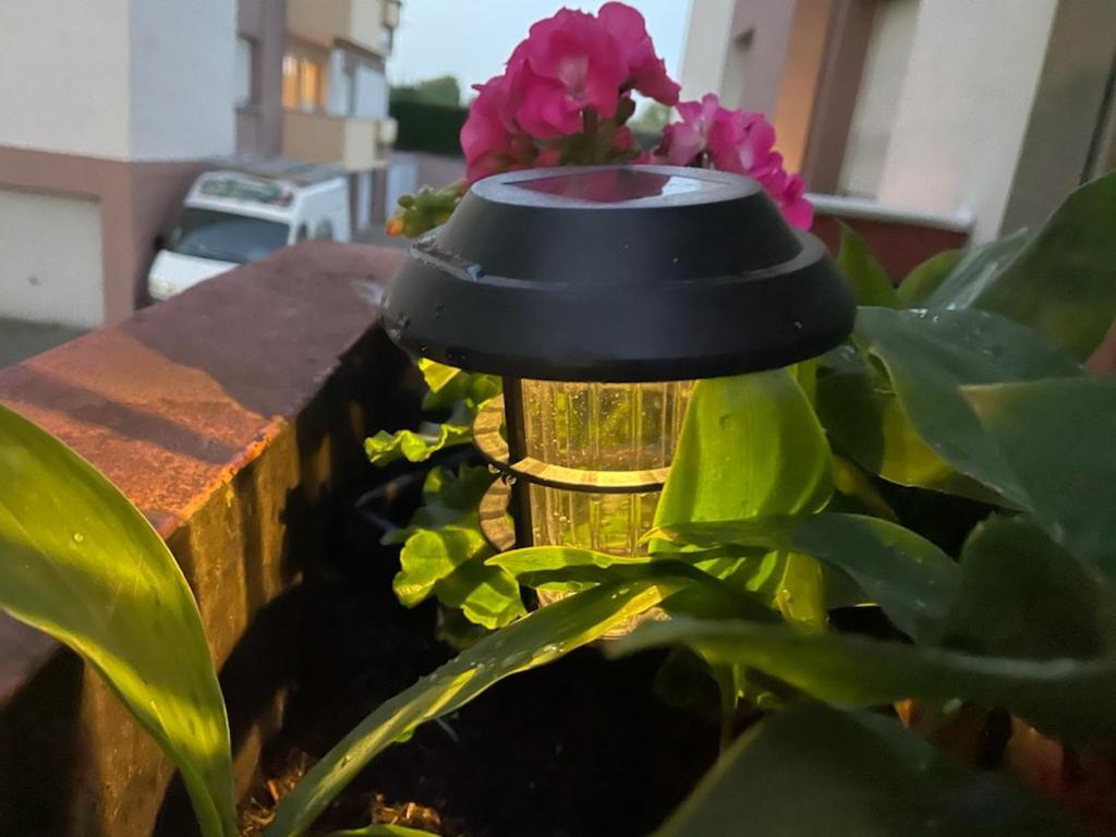 Super Appartement Avec Terasse Bischheim Exterior foto
